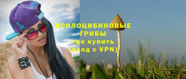 твердый Ветлуга