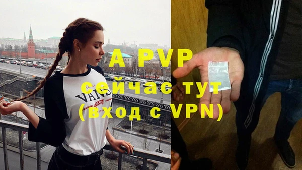 сатива Новокубанск