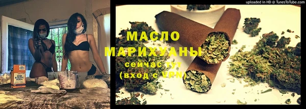 сатива Новокубанск