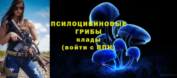 соль ск Нефтегорск